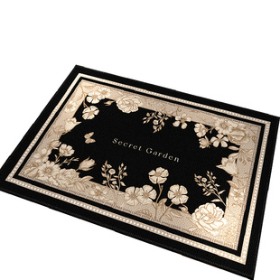 入户门地垫进门口门垫新款脚垫地毯家用大门垫子高级感轻奢门前垫