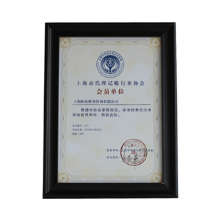 上海外资公司注册代表设立财务会计核算咨询年度报告代理记账编制