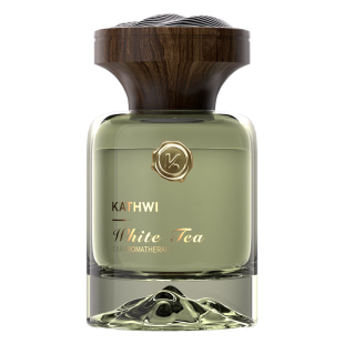 科净威观山车载香水2025新款汽车内香氛香薰摆件净化空气持久留香