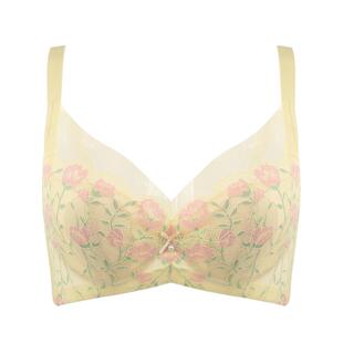 贝佳人新款薄款花色聚拢文胸深V水晶杯少女调整型内衣女BW932215