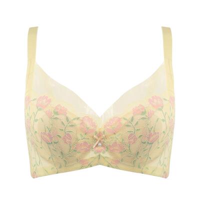 贝佳人花色薄款聚拢文胸舒适内衣