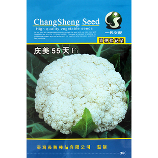 台湾庆美 青梗松花菜 种子种籽孑耐热花菜菜花松散55/65/70/90天