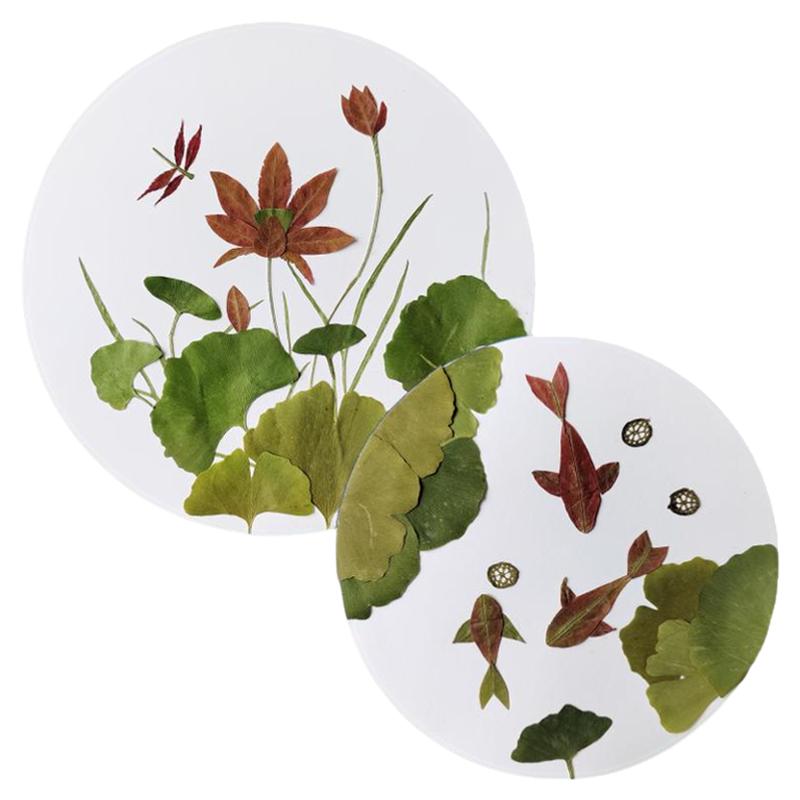 树叶画diy手工制作材料包压花贴画治愈减压儿童创意秋天植物标本