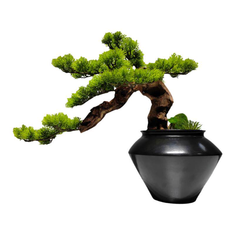新中式样板间造景客厅盆景玄关仿真盆栽摆件禅意永生苔藓绿植花艺