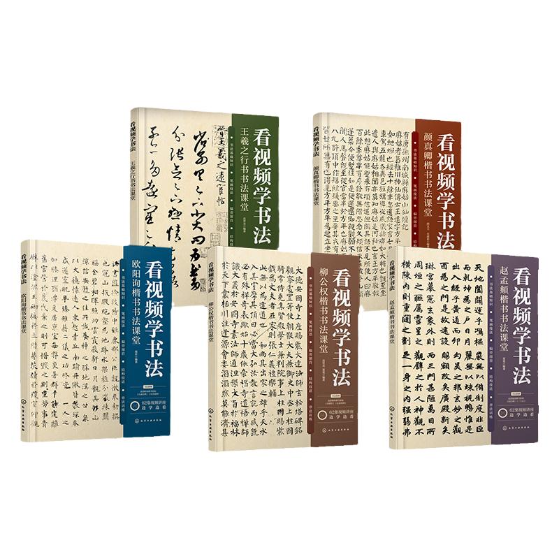 5册 看视频学书法 颜真卿楷书 王羲之行书 欧阳询楷书 赵孟頫楷书 柳公权楷书 中国书法基础知识入门教程视频讲解书法临摹教程