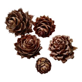 天然杉树果玫瑰果饰品 柳杉松果  干果 干花复古装饰拍摄拍照道具