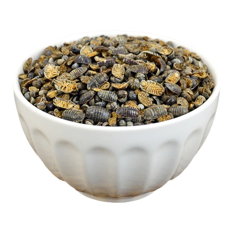 鼠妇虫中药材正品鼠负虫干潮虫子
