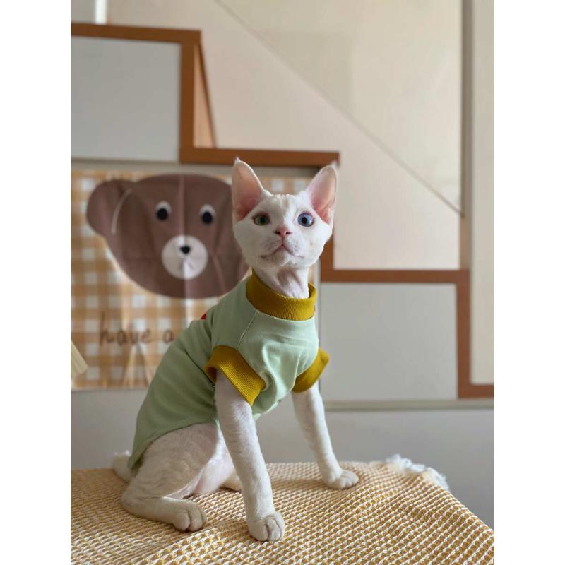 春夏斯芬克斯无毛猫德文猫衣服狗狗猫咪防掉毛衣服薄款护肚打底衫