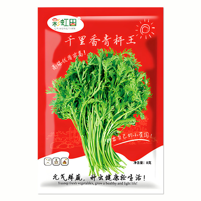 千里香青杆王种子小叶茼蒿