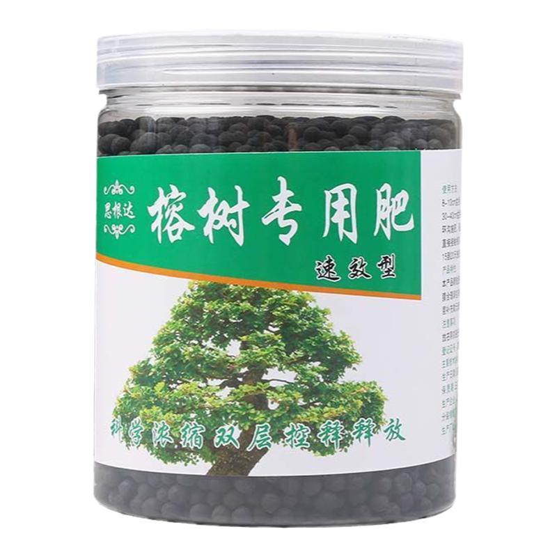 人参榕树肥料专用肥盆景肥料