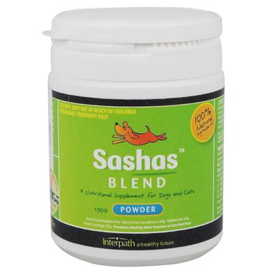 sasha软骨素边牧狗髌骨脱位修复