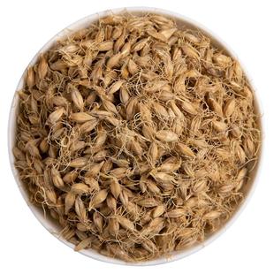 寻百草正品中药材麦芽500g大麦泡茶生麦芽大麦芽发芽率高有稻谷芽