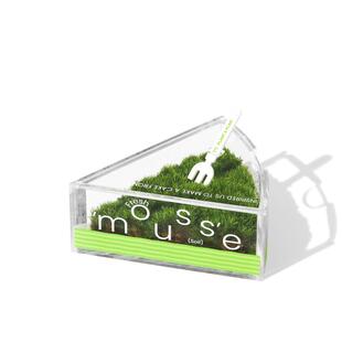 【生日礼物】pap千层茸茸苔藓蛋糕桌面盆栽解压绿植私人草坪