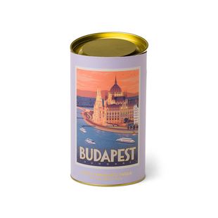 DESIGNWORKS INK拼图1000片美国进口花卉天体圆纸筒美式复古玩具