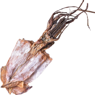 淡干大号鱿鱼干尤鱼海鲜干货泡发干鱿非特级炒菜鱿鱼须丝优鱼犹鱼