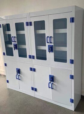 pp酸碱柜药品柜器皿柜耐腐蚀安全柜双人双锁实验室危险化学品试剂