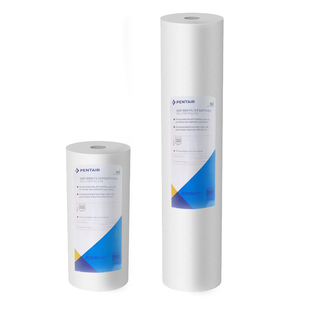 Pentair DGD-5005/2501大蓝瓶大胖瓶10/20寸RFCBB复合活性炭滤芯