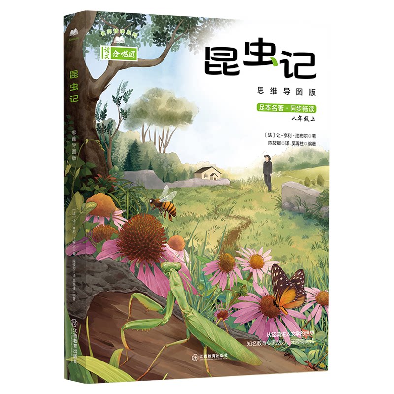 昆虫记：思维导图版名师精讲系列