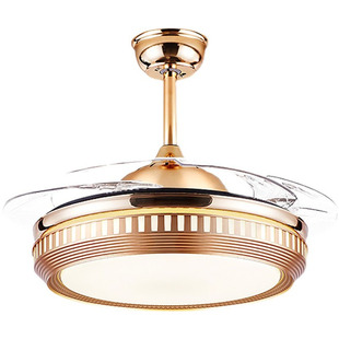 2025新款吸顶风扇灯隐形现代简约吊扇灯北欧家用客厅卧室餐厅灯具