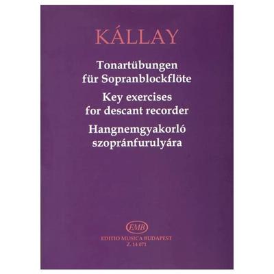 加伯高音竖笛的按键练习竖笛钢琴