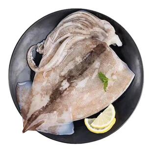 鱿鱼鲜活冷冻新鲜超大鱿鱼生鲜免洗尤鱼整条烧烤铁板商用海鲜水产