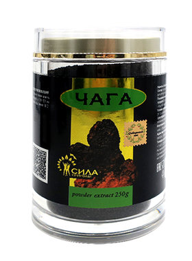 黑金提取物桦褐孔菌茶桦树茸