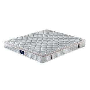 美国TLK特蕾卡可调节床垫独立弹簧护腰脊床垫1.8*2米大师定制系列