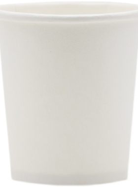 试饮杯一次性100只小号品尝杯