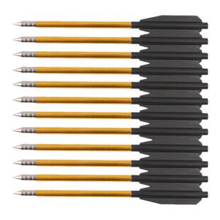 练习箭训练玻纤箭纯碳素12支竞技弓箭杆铝合金反曲弓箭支复合弓箭