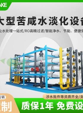 5吨10吨20吨50吨反渗透设备净化纯水锅炉给水ro反渗透水处理设备