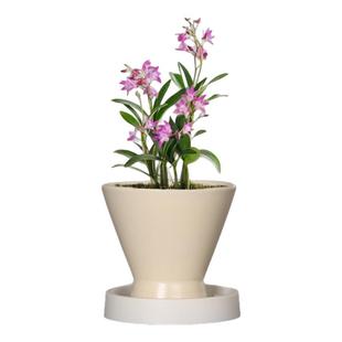 北欧创意陶瓷花盆简约ins风蝴蝶兰绿植盆栽带托盘多肉花盆花卉盆