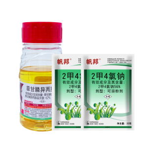 节节草除草剂烂根专杀笔管草专用除草剂助剂节骨草笔杆草死根特效