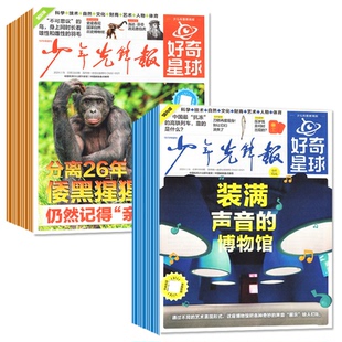 1月新【全年/半年订阅】少年先锋报好奇星球报纸2026年1-12月好奇号杂志6-12岁中小学生国际国内新闻阳光报少年科普报万物2025过刊
