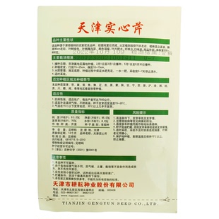 天津实心芹菜种子青菜种籽味浓香津郊实心春季秋季夏季四季菜种子