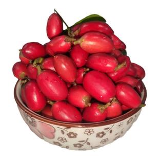 神秘果鲜果果干神奇酸变甜解酒喝酒加量蜜拉圣果变味果时令水果