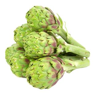 云南特产洋蓟大果当季新鲜朝鲜蓟农家当季蔬菜法国百合食用蔬菜