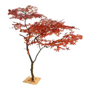 仿真红枫树室内落地大型景观日式庭院造景装饰仿生假树枯山水干景