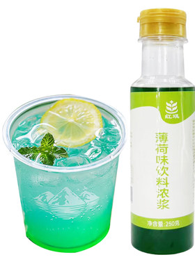 红琪DIY家庭装小瓶薄荷糖浆蓝柑