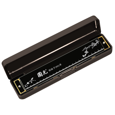 国光口琴24孔复音c调初学推荐款