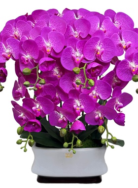 蝴蝶兰仿真花客厅高档花过胶花