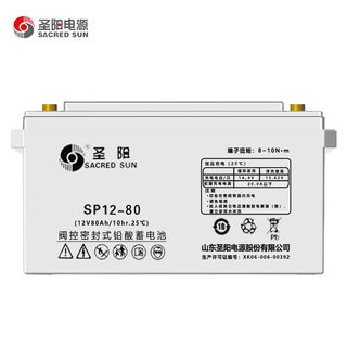 铅酸免维护蓄电池SP12-100 UPS 通信电源 直流屏专用12V100AH