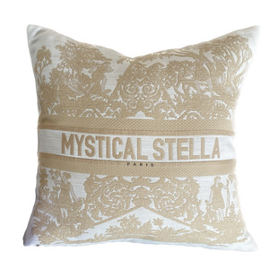 专区买一送一！态度 神秘星 重工刺绣抱枕轻奢现代客厅沙发靠垫枕