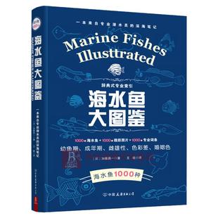 现货 海水鱼大图鉴 1000种深海鱼成长图鉴大全大太平洋 海洋动物4K图鉴书海洋世界儿童书揭秘海洋百科全书海底生物彩色图鉴书籍
