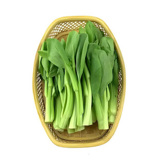 早熟白菜苔种籽白菜心种子香甜早白菜苔菜种阳台庭院四季种植蔬菜