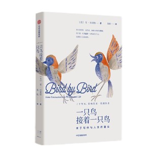 包邮 一只鸟接着一只鸟 关于写作与人生的建议 安拉莫特著 同主题TED演讲视频超六百万点击 中信出版社图书 正版