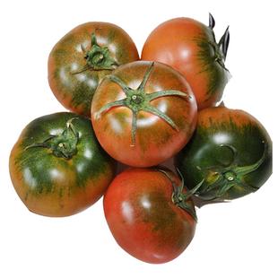 丹东铁皮柿子草莓碱地西红柿新鲜应季生吃自然熟绿腚盘锦番茄正宗