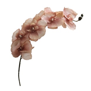 仿真花 蝴蝶兰高档插花摆件客厅摆设复古绢花艺家居装饰婚礼布置