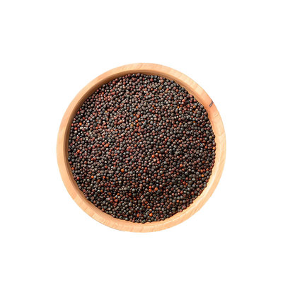 彩色油菜花种子耐旱高产榨油菜籽