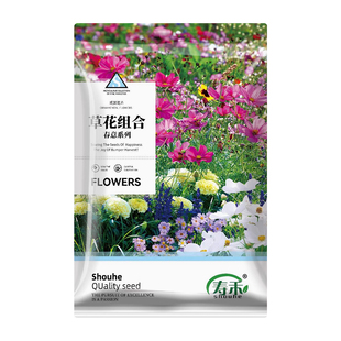 适合春天种的野花组合种子爬藤花卉阳台庭院花种籽花籽孑子四季