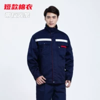 Тибетский короткий хлопок (вверх